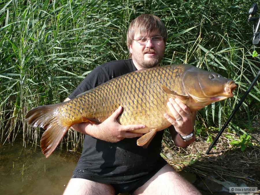 kapr 96 cm/19,2 kg