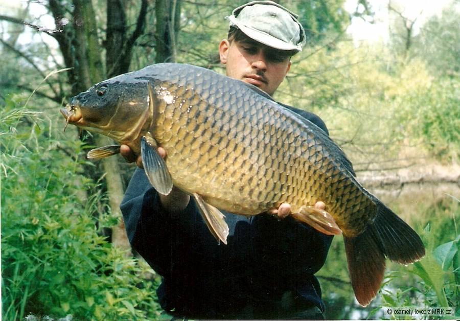 ,Svazovka' Červenec 2003