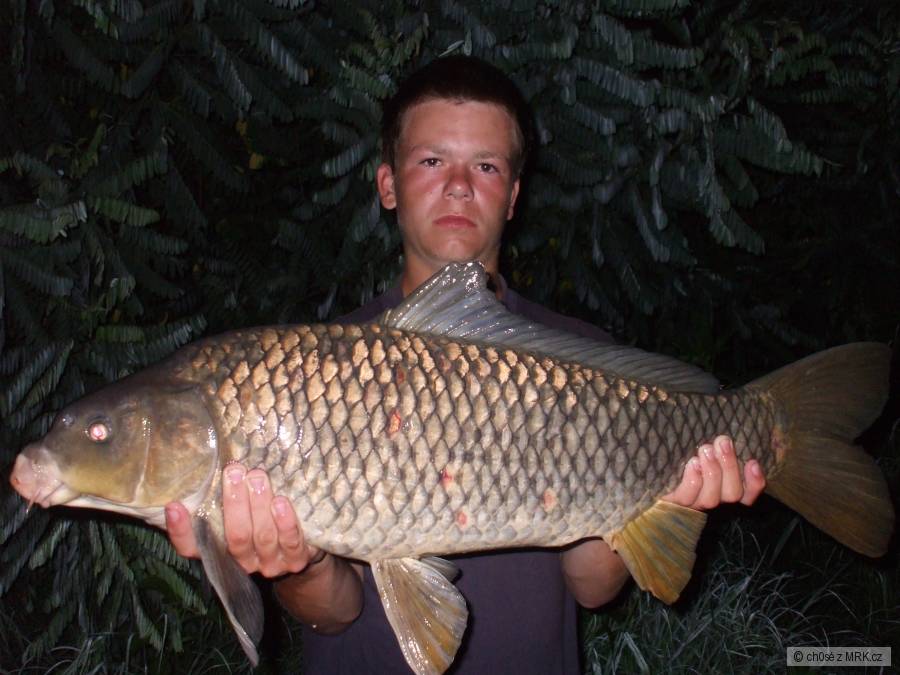 85cm