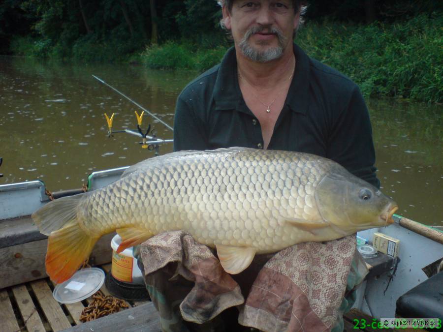 Kapr obecný 70cm - 7,85kg.