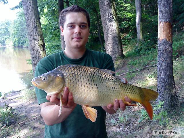 kapr - vltava 2009