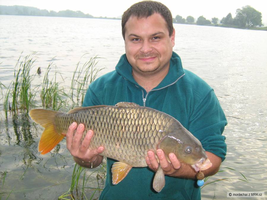 ostrožská šedesátka