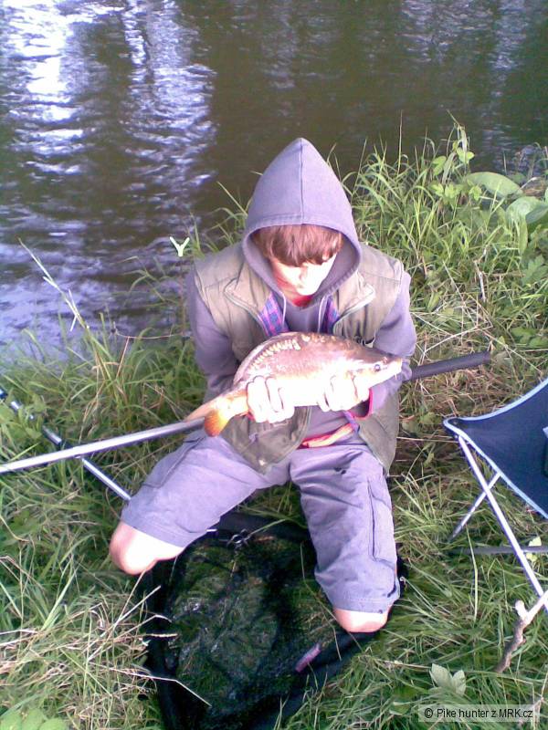 Kaprik 45cm