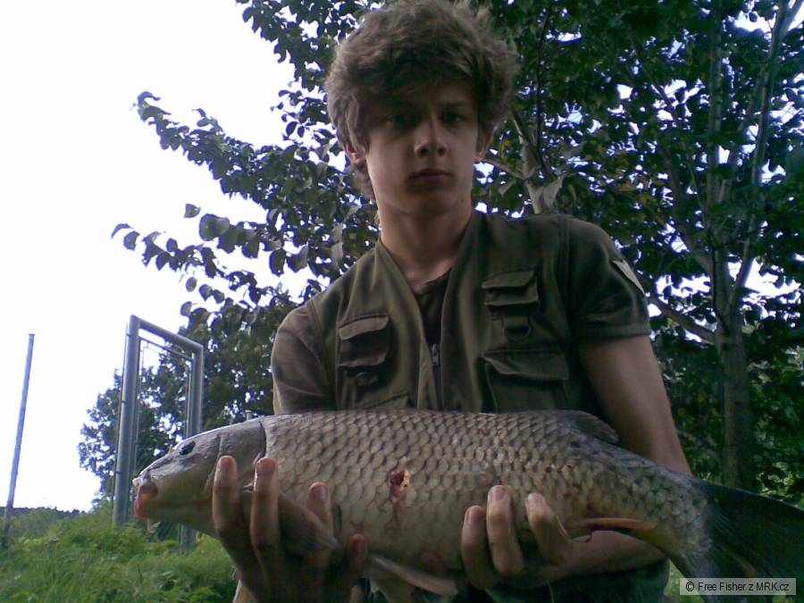 Kapr 56cm