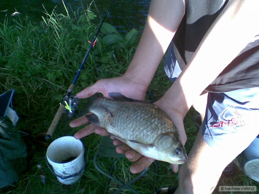 Karas 30cm