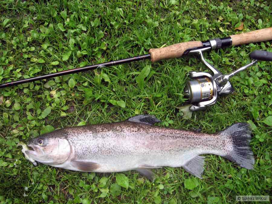 Duhák 43cm na Relax Clonay