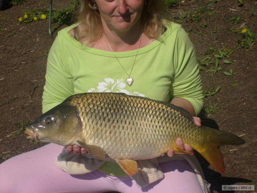 povedl se,66cm