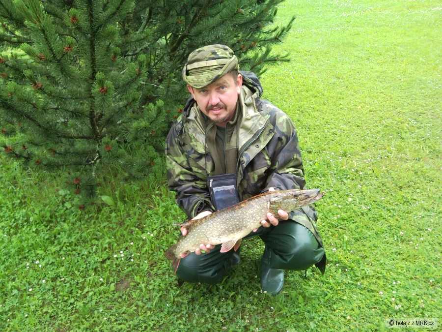 udělala radost