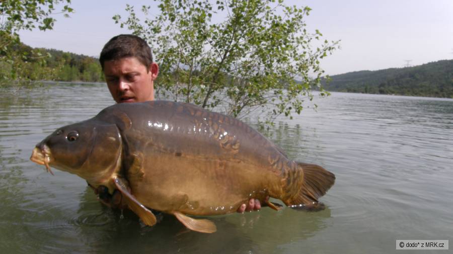 cassien 5.2009 17.50kg