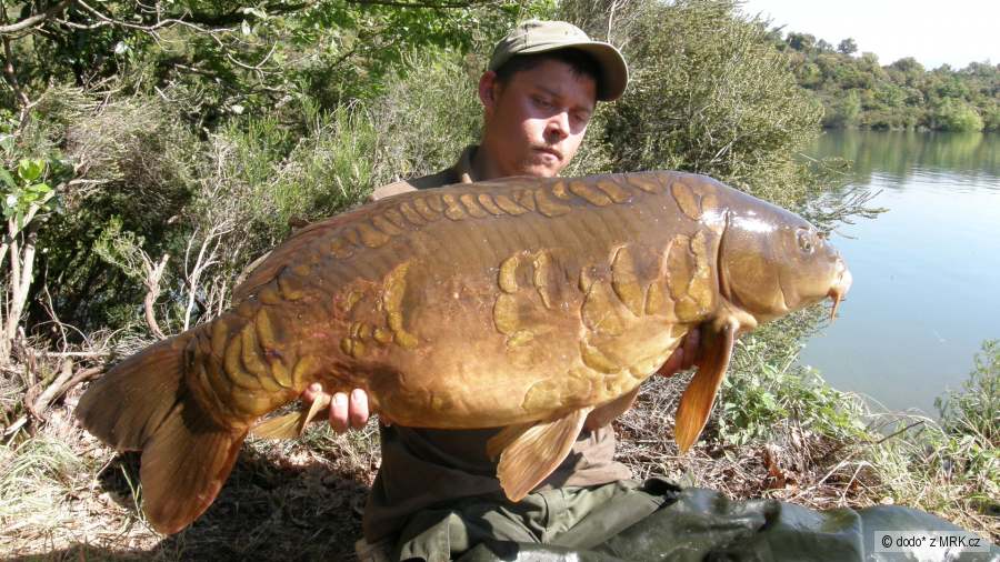 Cassien 5.2009 19.20kg