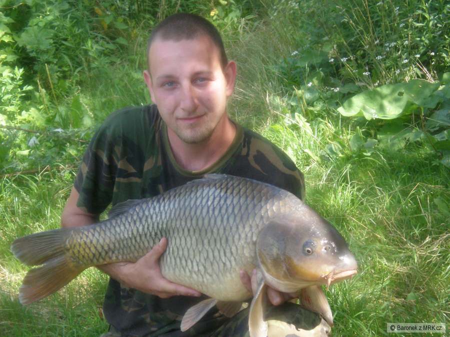 kapr 85cm břeclav