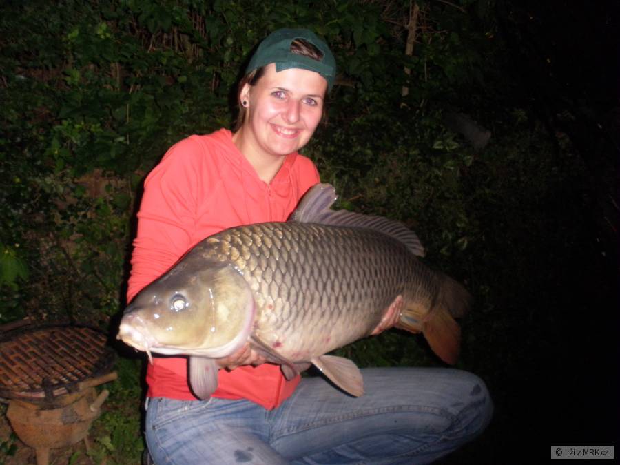kapr 8kg vranov