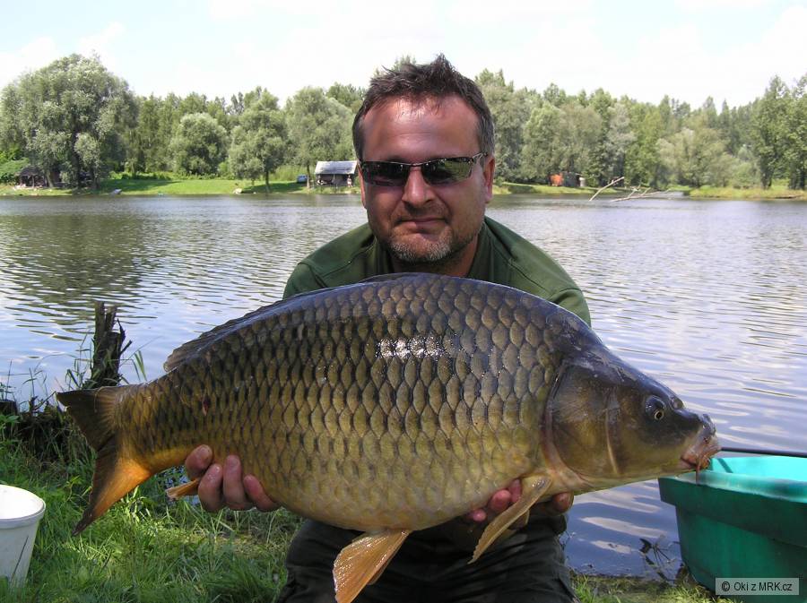 kapři koblov