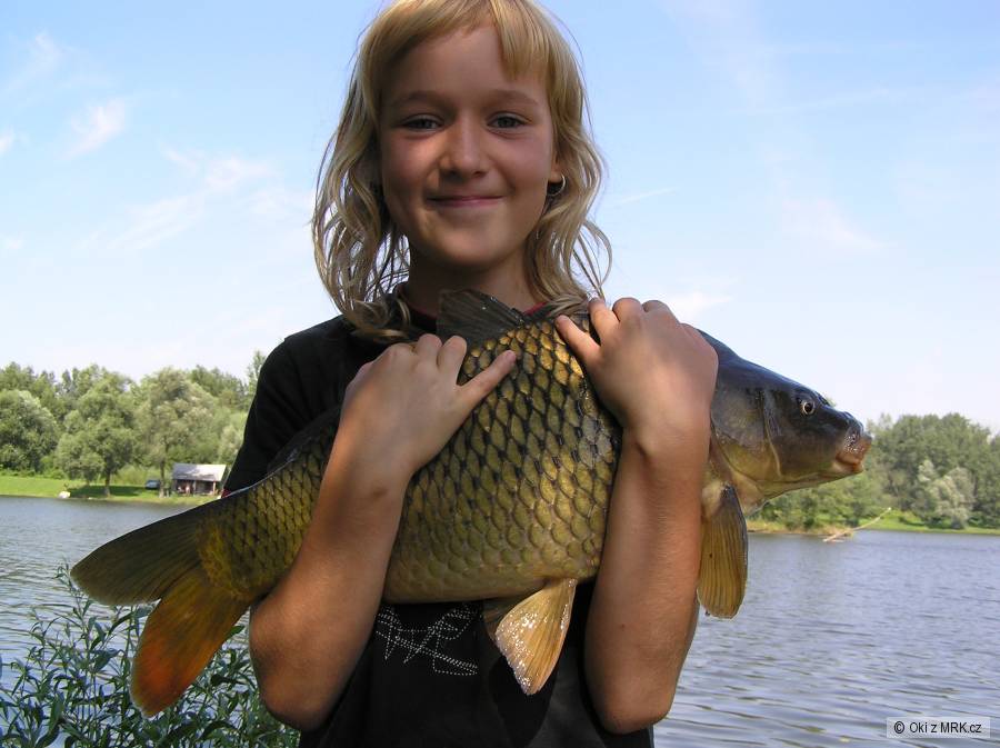 kapři koblov