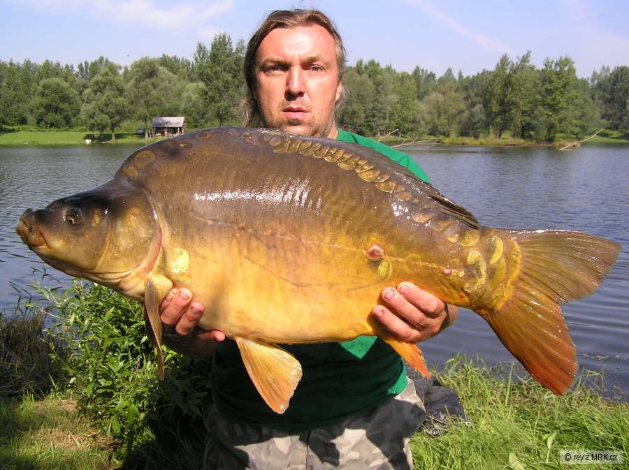 Kapři Koblov