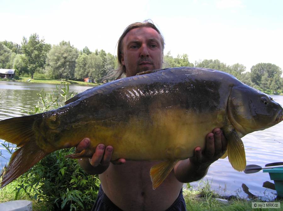 Kapři Koblov
