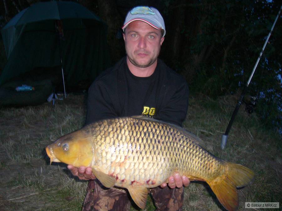 labe 2009 71cm 6.20kg
