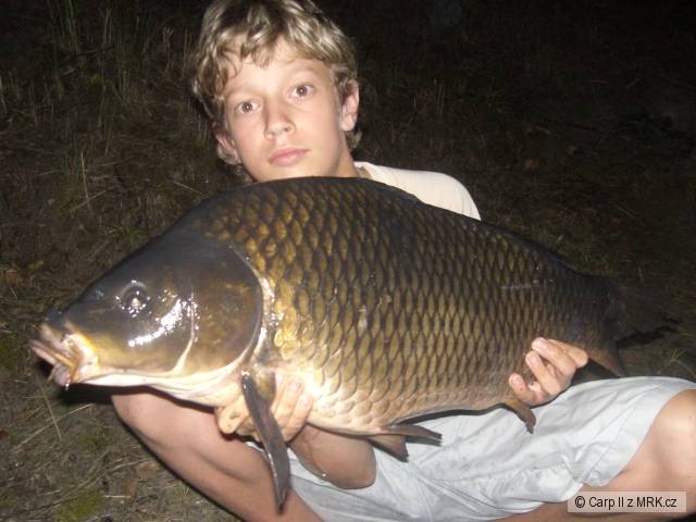 Kapr 70cm