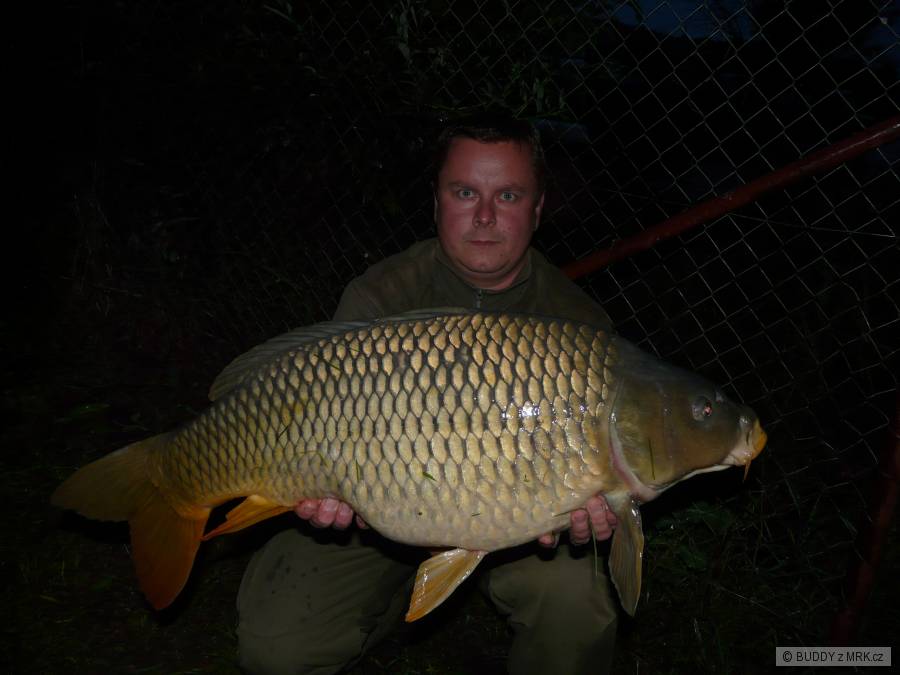 D5 - K12,1kg 81cm