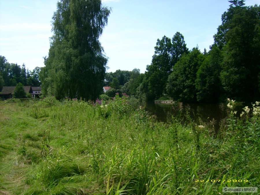 Nežarka