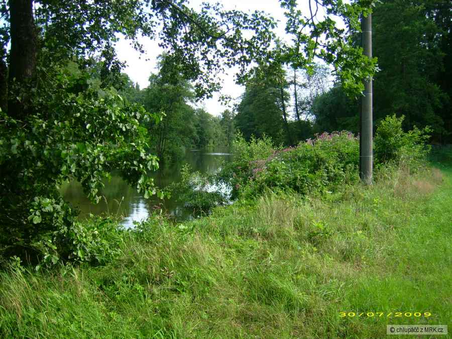 Nežarka