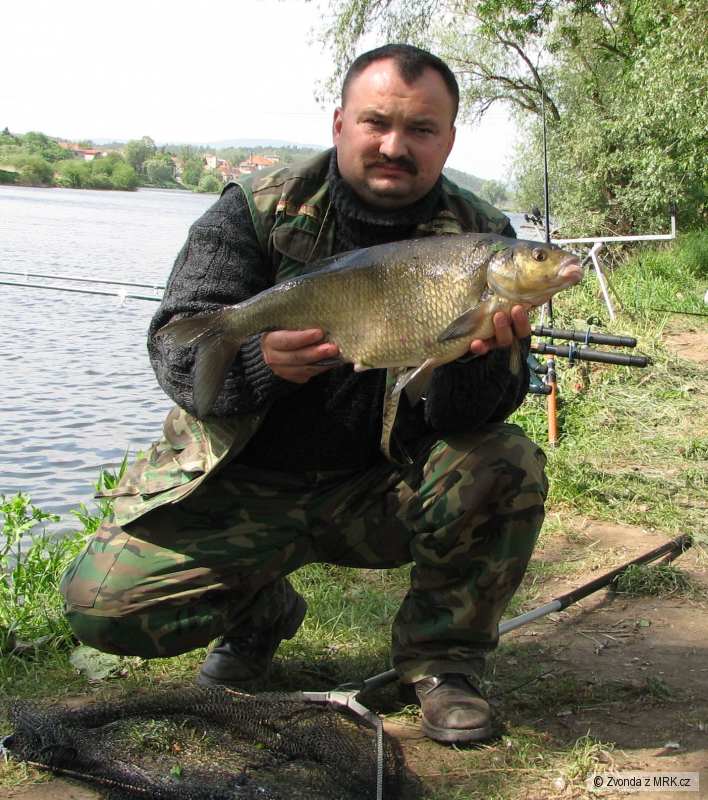 Cejn velký 63cm