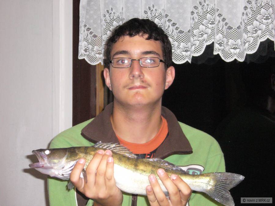 candát 43
