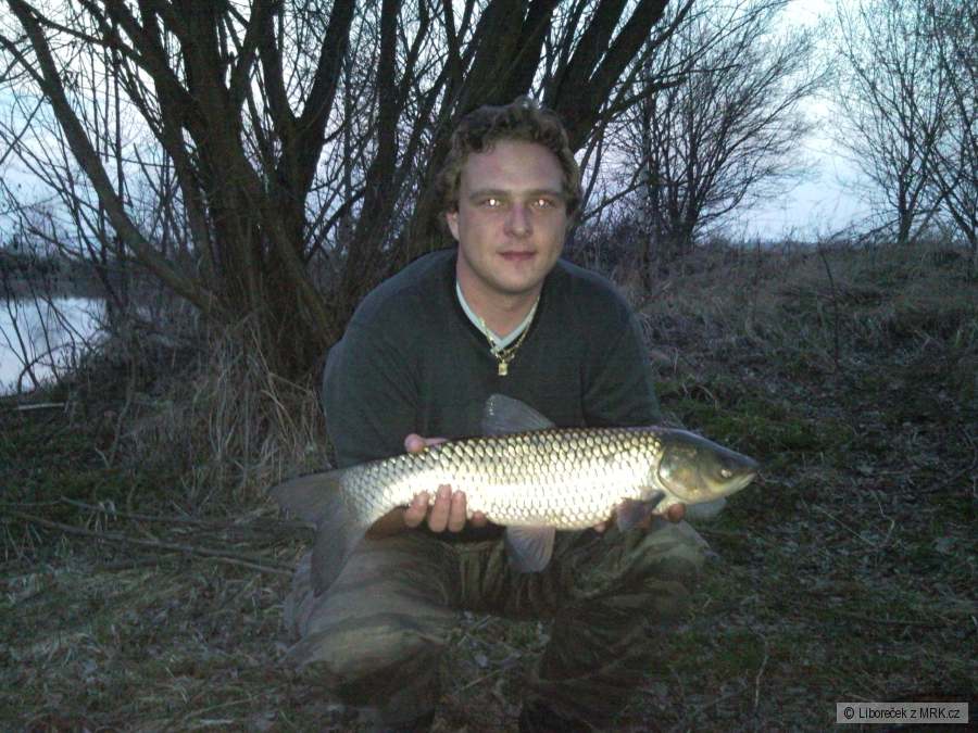 Amur 63