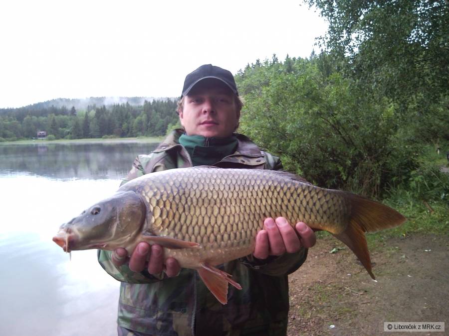 Kapříček 54