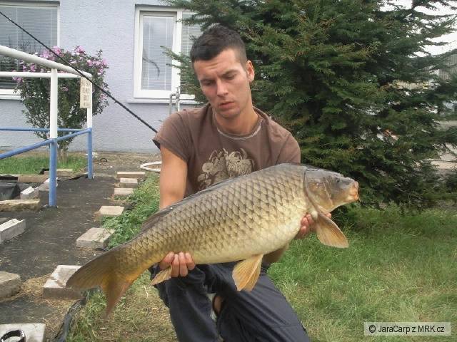 Hazo kapřík
