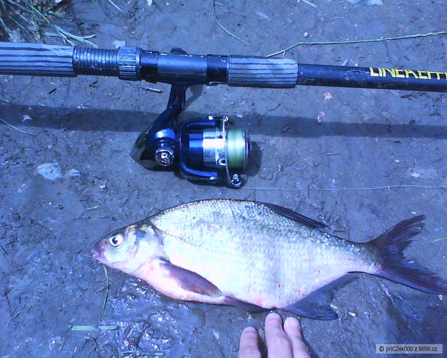 cejn...30-32cm