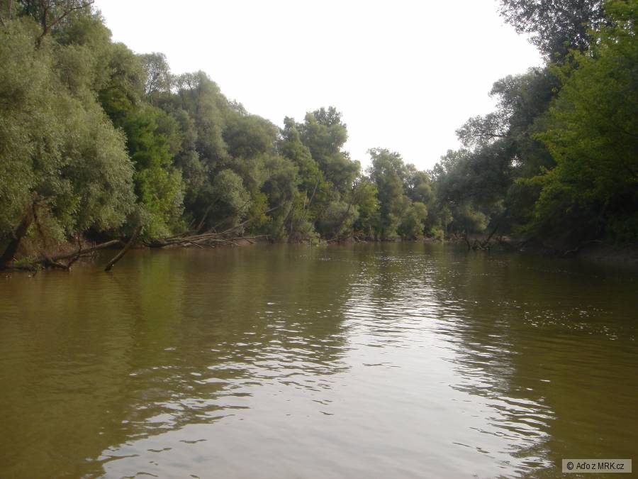 Laborec 2009