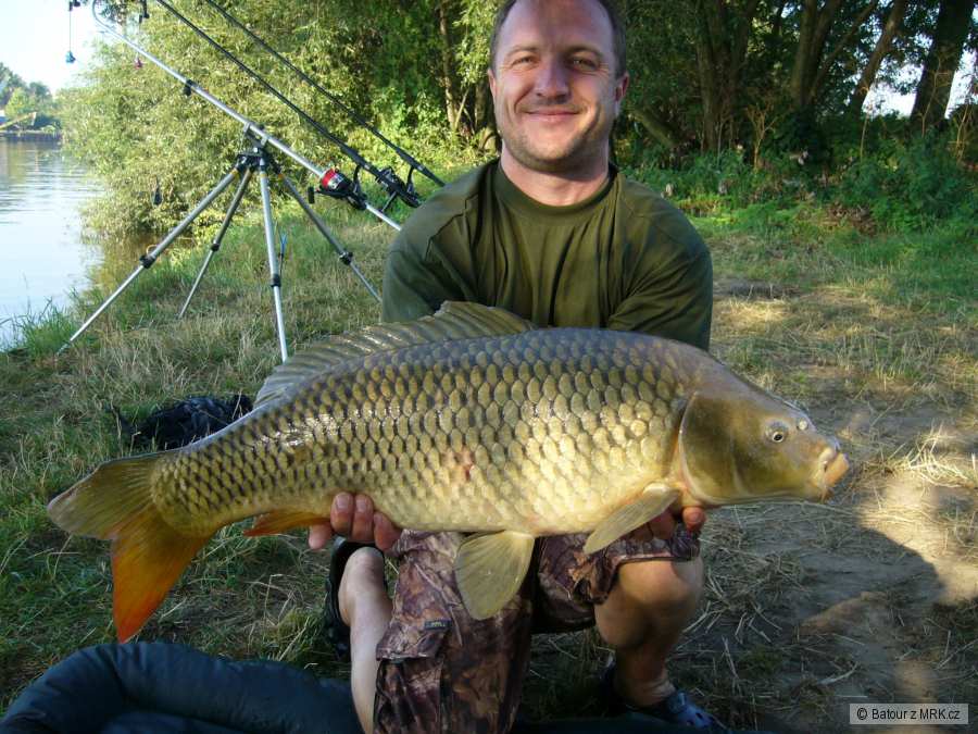 Labe 2009 80cm 8,25kg