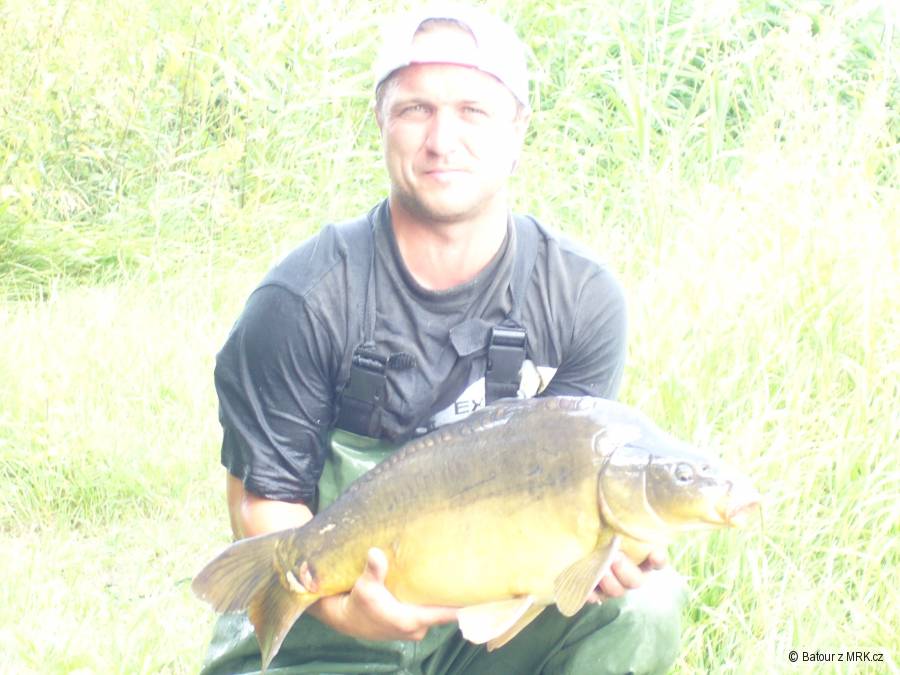 Labe 71cm 7.80kg