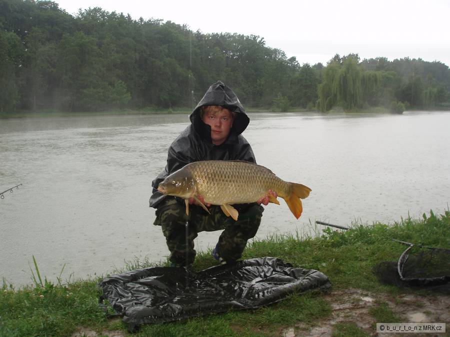 stařič