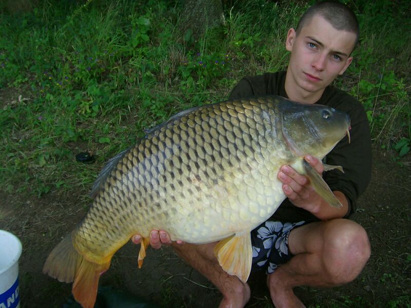 ponty3