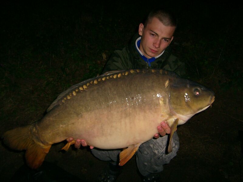 ponty4