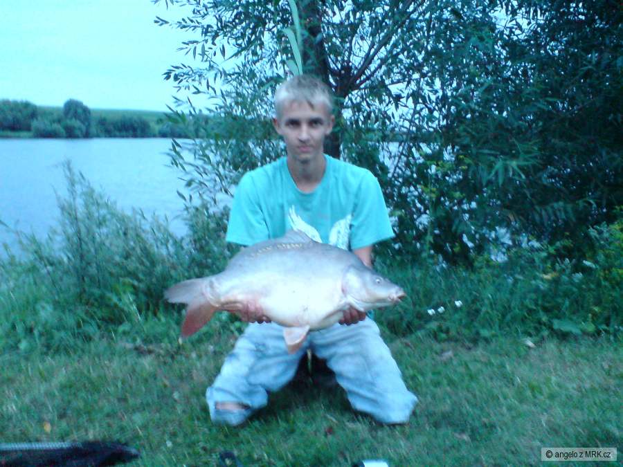 Kamošův kapr 65 kolem 10Kg
