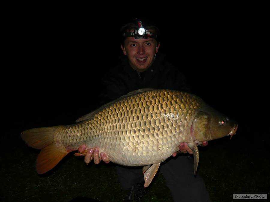 83 cm - 11,5kg - Balaton u Brna