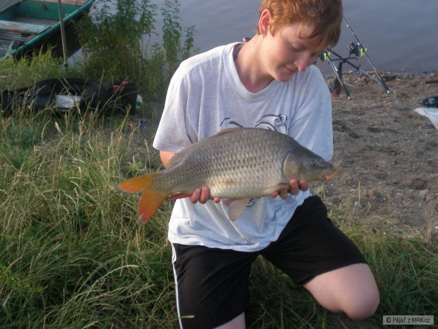 šupik 52cm