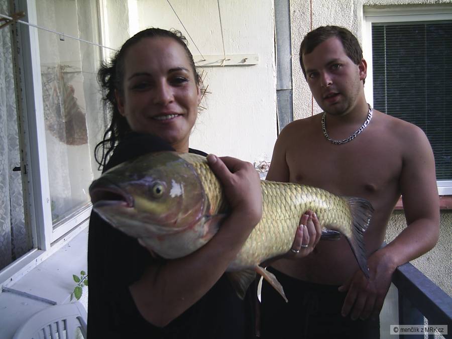 amur 98cm 12.3kg