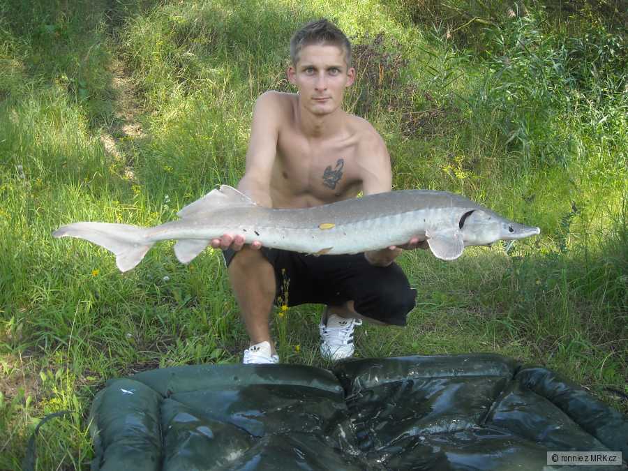 skalky 2009