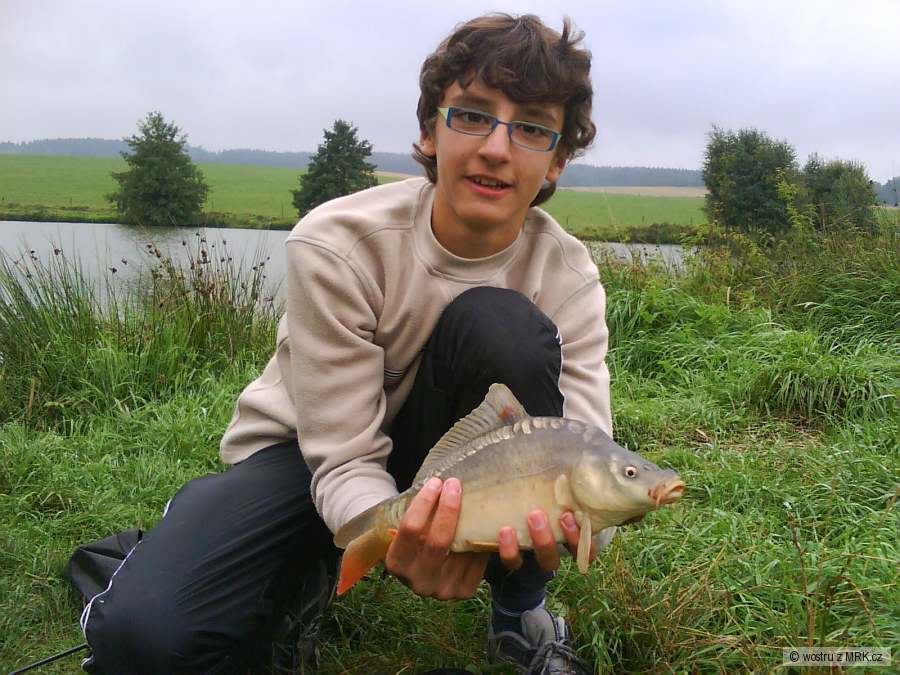 Carp nechtěl se naježit tak sem mu pomohl