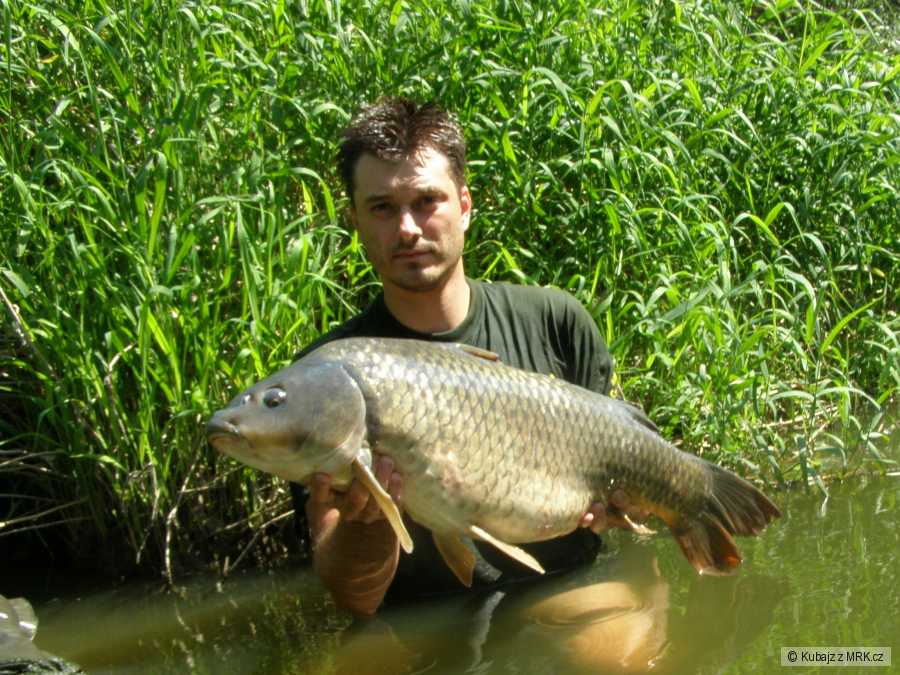 10,4kg 86