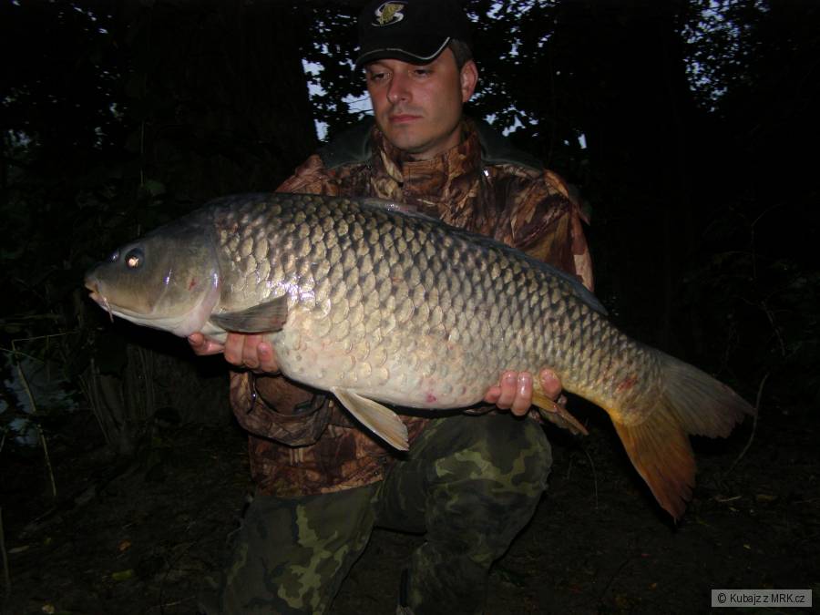 10,4kg 86cm
