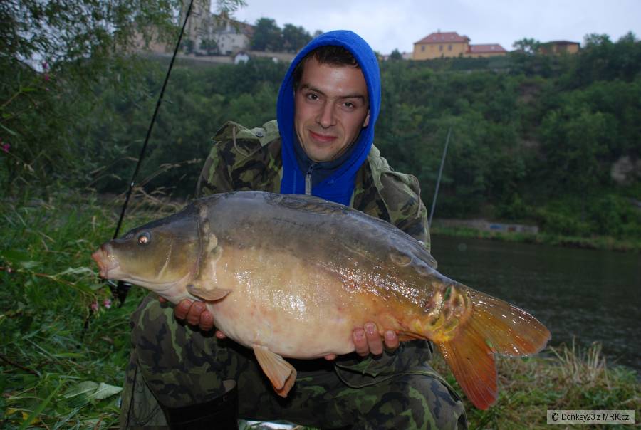 Kapřík 11kg