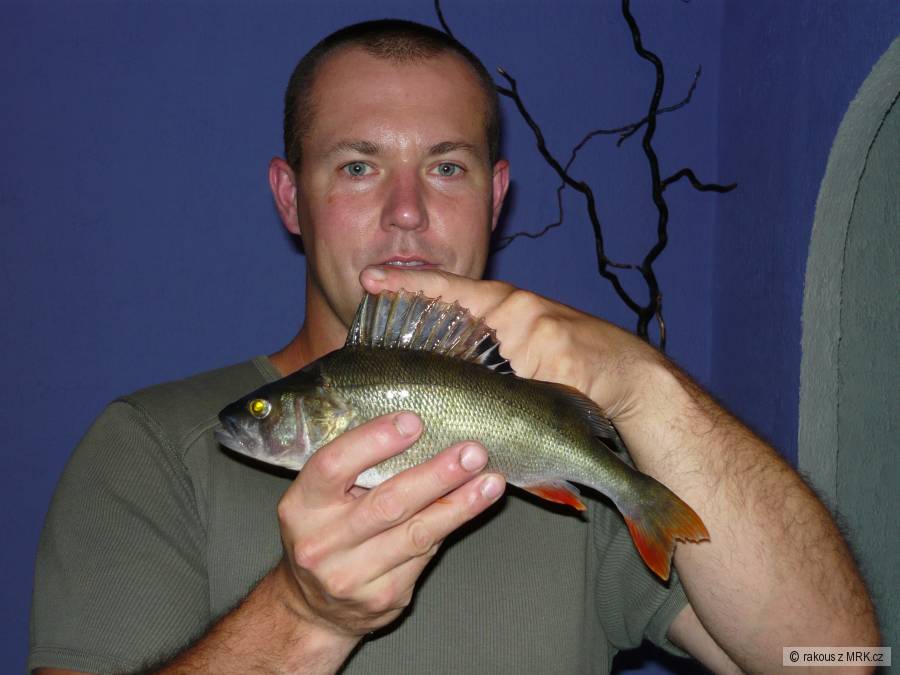 okun 35