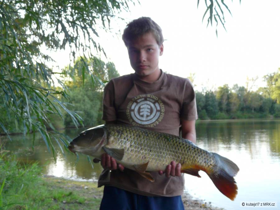 Brácha s kaprem 71cm
