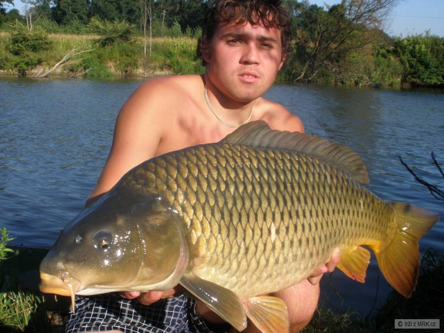 KAPR 10KG 82CM