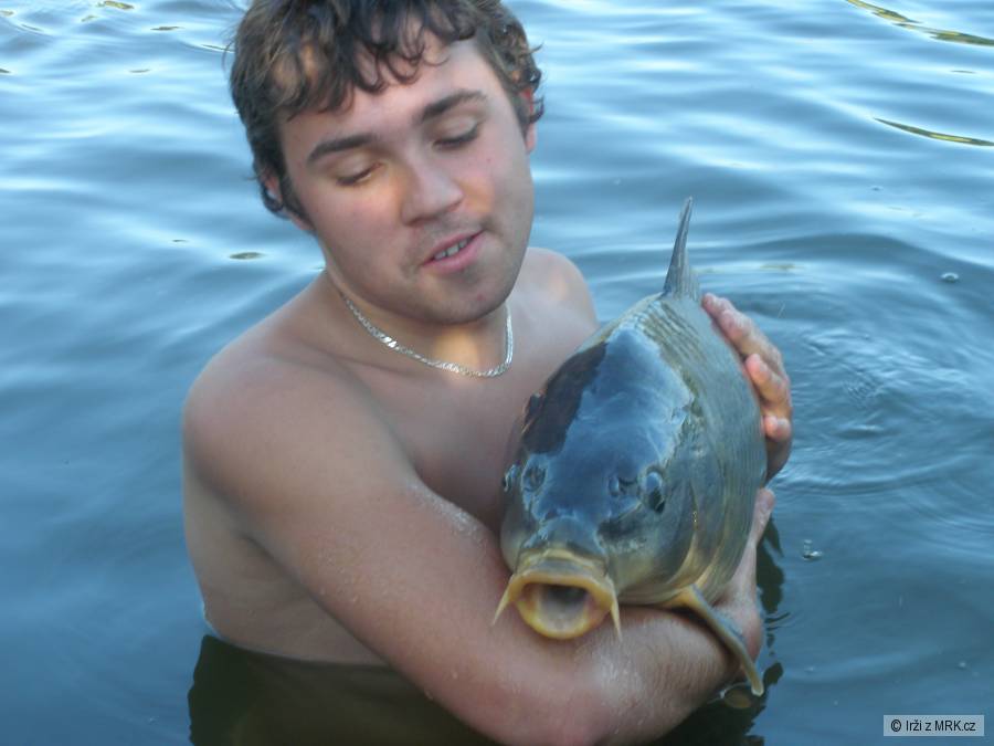 KAPR 10KG 82CM
